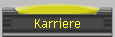 Karriere